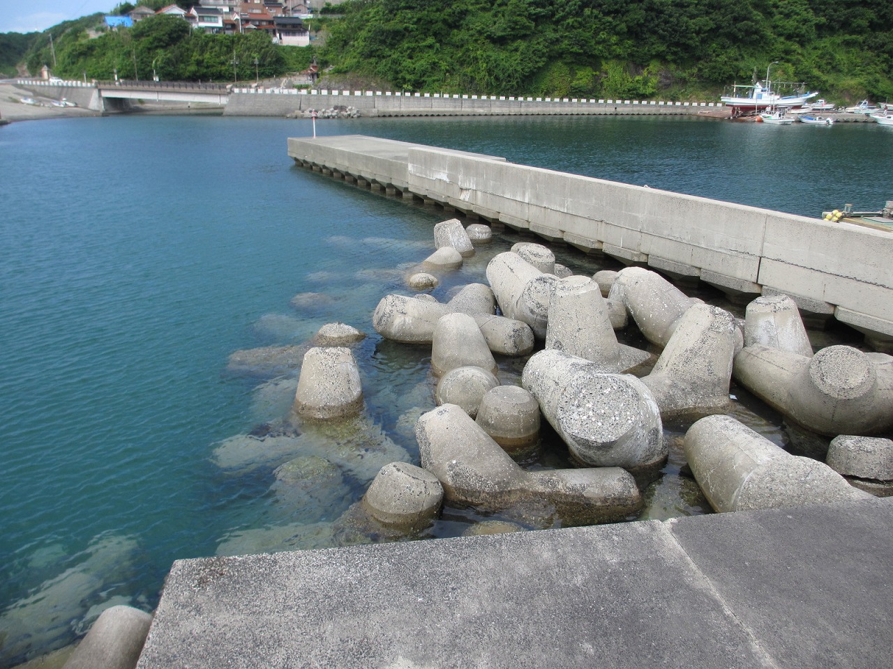 鳥取県,海釣り,ポイント,夏泊漁港